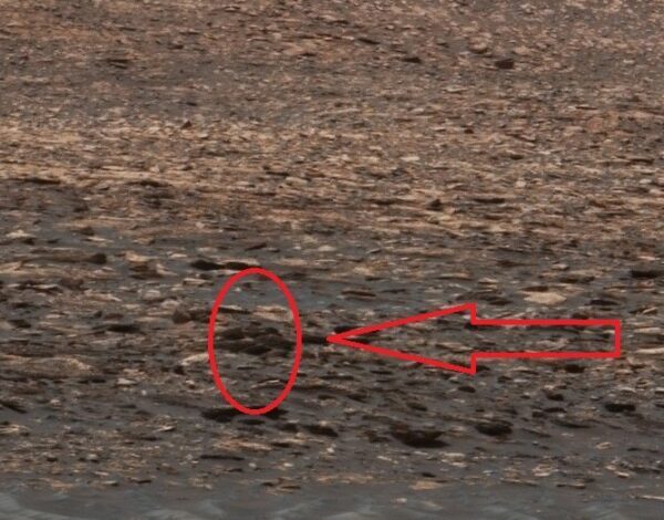 Уфологи обнаружили на снимках с Марса таинственного «черного гуманоида»