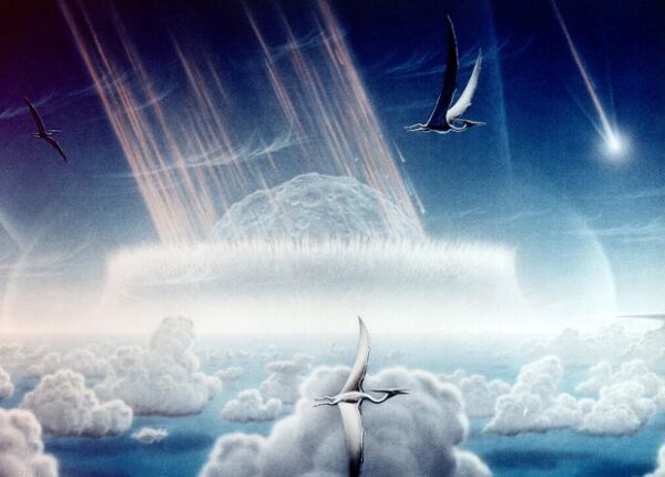 Уничтоживший динозавров астероид координально изменил климат на планете