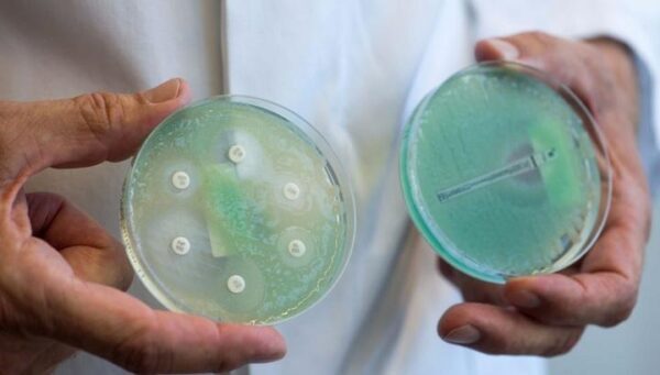Устойчивость к антибиотикам ученые заблокируют на генетическом уровне