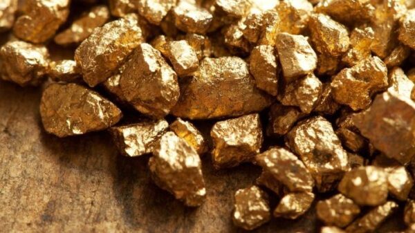 В Австралии старатель нашел золотой слиток весом 1,2 кг