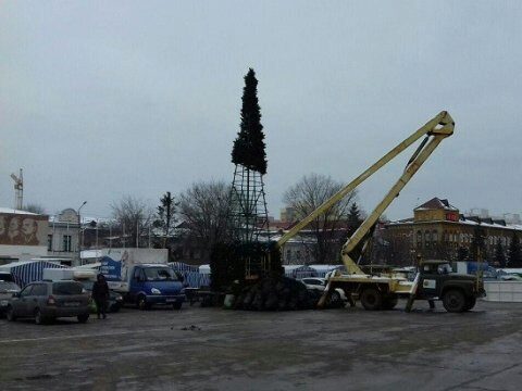 В Энгельсе начали собирать главную елку города