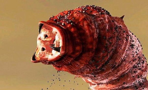 В Германии обнаружили огромное тело червя весом 5,2 кг