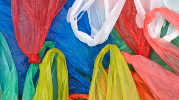 В крупных липецких магазинах исчезнут пластиковые пакеты?