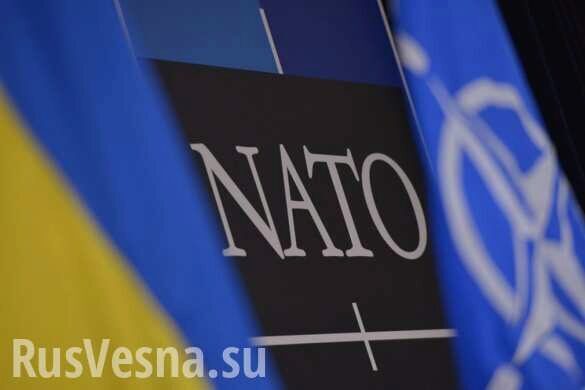 В НАТО недовольны тем, как Украина переходит на стандарты альянса