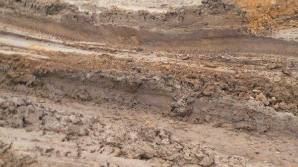 В Пильнинском районе взыскали более 3 млн за уничтожение плодородной почвы