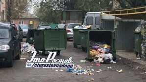В Ростове ночью вандалы разгромили мусорные баки