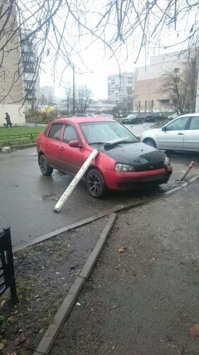 В Санкт-Петербурге пешеходы отомстили наглому водителю