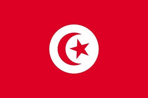 В столице Туниса на полицейских напал мужчина с ножом