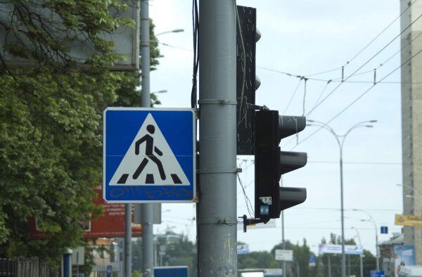 В Воронеже на видео запечатлели обезумевших пешеходов