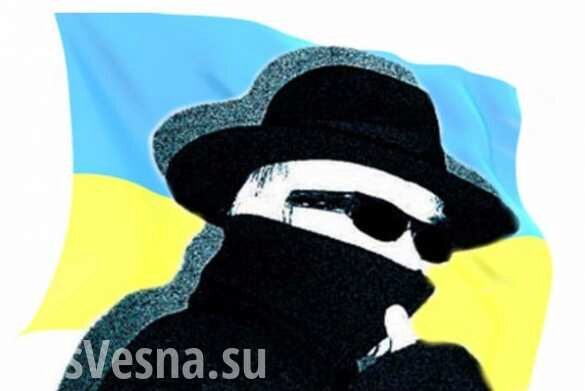 Ветеран «Альфы» рассказал, с чем связана активизация украинских шпионов в России (ВИДЕО)