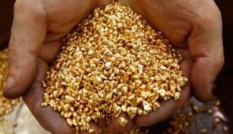 Власти «ЛНР» собрались добывать золото на территории ОРЛО