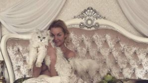 Волочкова сфотографировалась голой в постели, прикрыв грудь котом?