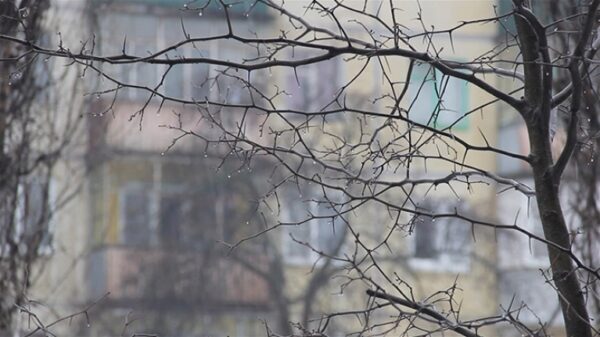 В воскресенье в Липецке ожидается дождь со снегом