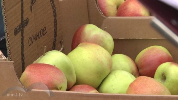 За выходные у липецких торговцев изъяли 150 килограммов овощей и фруктов