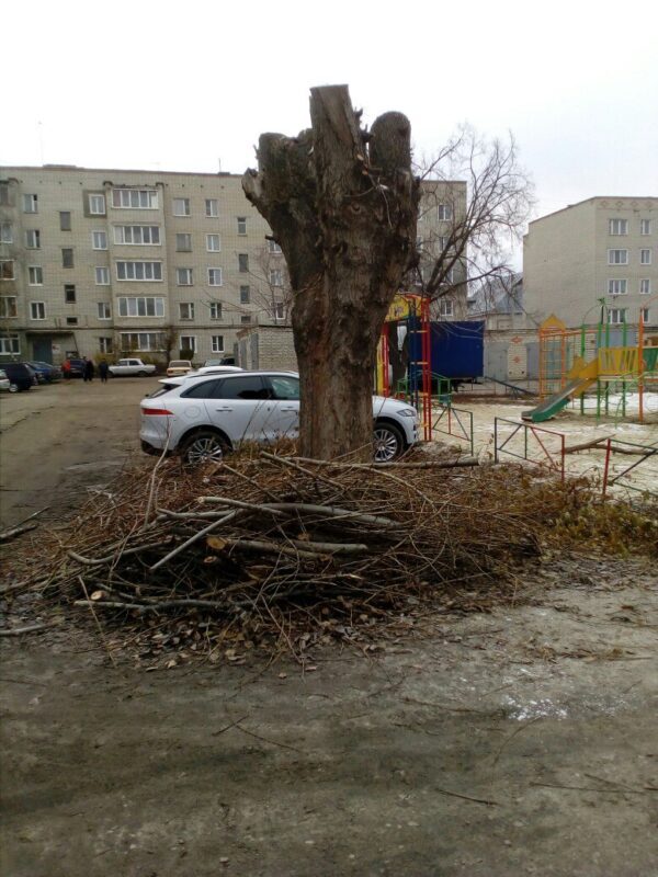 Жители Пензенской области просят убрать со двора пеньки деревьев