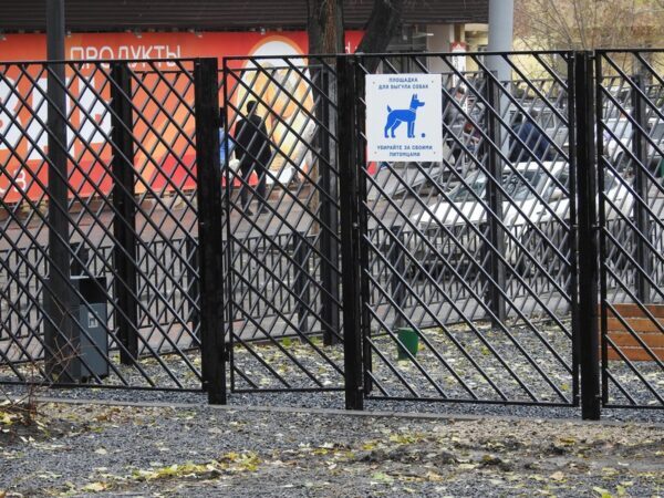 Жители Рахова попросили убрать с бульвара площадку для собак