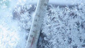 Зимние морозы до -32 прогнзируют в Приморье к концу недели