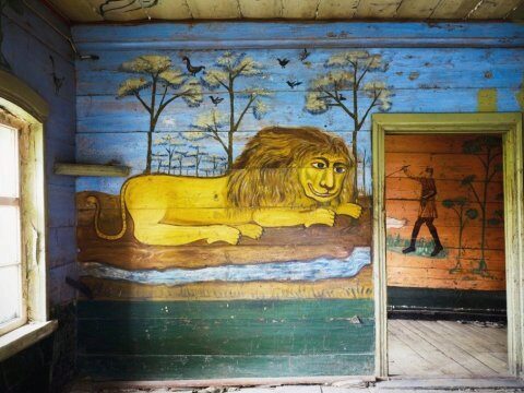 Активисты из Саратовской области собирают средства на спасение «Дома со львом»