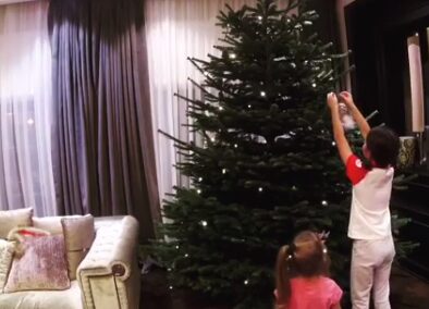 Александр Ревва показал свою новогоднюю елку на видео в Instagram