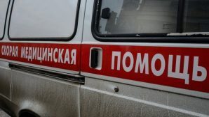 Четырёхлетняя девочка погибла спустя сутки после ДТП в Чувашии