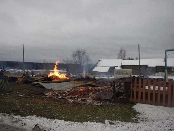 Двое злоумышленников ограбили и подожгли деревню в Волгоградской области
