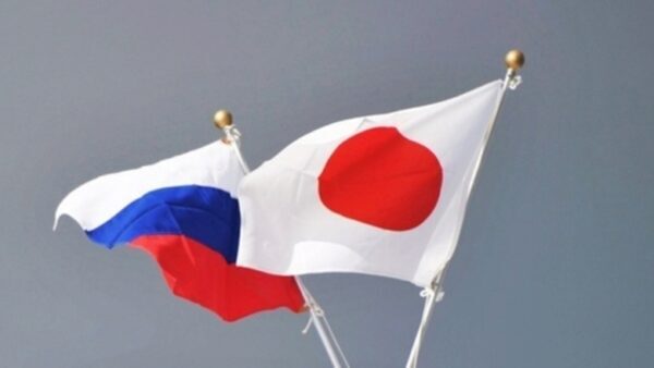 Эксперты обсудили взаимодействие между Нижегородской областью и Японией