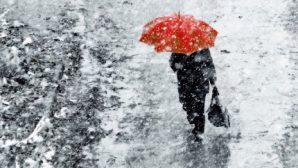 Экстренное предупреждение в Липецке: снег, дождь и гололед