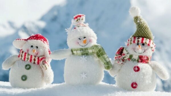 Липчанам покажут, как лепить снеговиков без снега