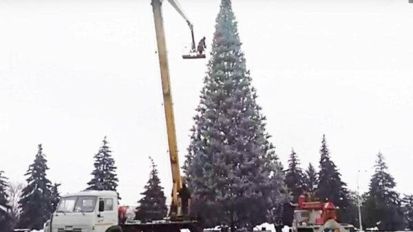 Липецкие елки начали украшать гирляндами (видео)