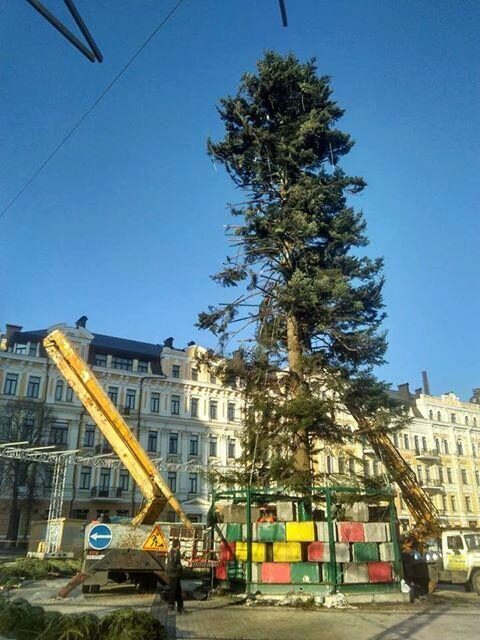 Лысая красавица: соцсети жестко высмеяли главную елку страны (ФОТО)