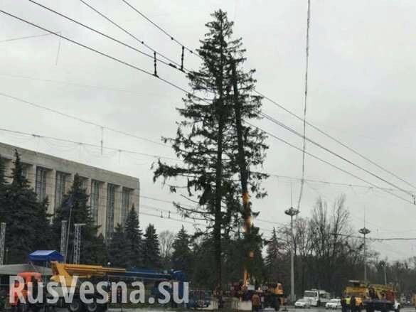 Лысый ствол, редкие ветки: украинская елка стала новогодним скандалом в Кишиневе (+ФОТО)