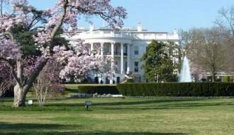 Меланья Трамп решила срубить самое старое дерево в Белом доме