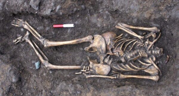 На месте будущей трассы «Таврида» в Крыму нашли 70 обезглавленных скелетов