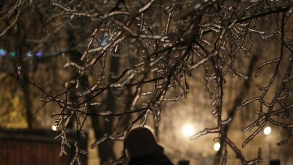 На протяжении суток в Татарстане предполагается снег, метель и ледяной дождь