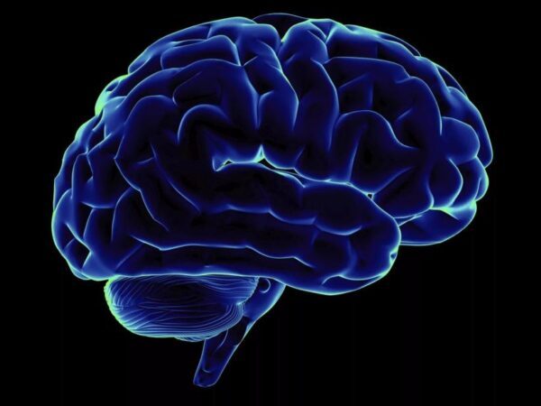Нейрохирург: Мозговые импланты позволят людям мысленно управлять гаджетами