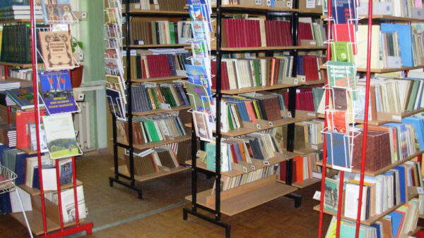 Нижегородская дума заложит в бюджете 2018 года средства на ремонт библиотек