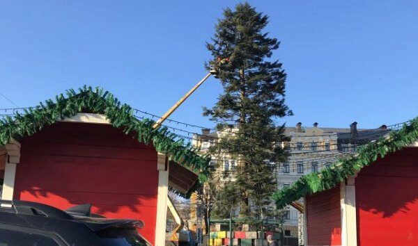 Новогодняя Елка на Софийской площади в Украине облысела за один день
