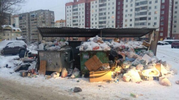 Новые микрорайоны Липецка зарастают мусором