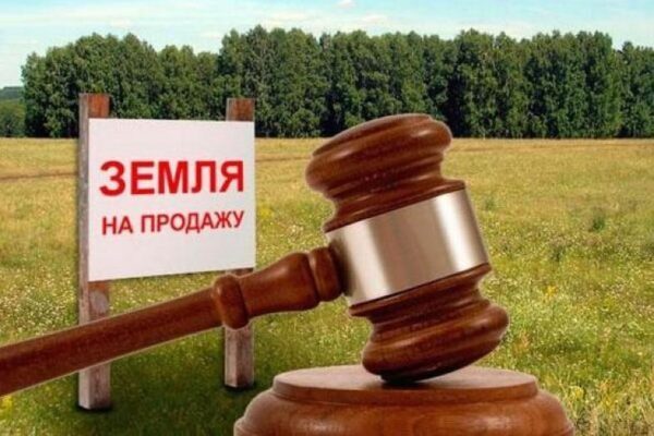 Почему в Зеленограде власти продают 3 участка под строительство