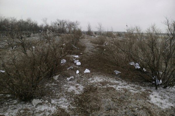 Под Волгоградом в посадку выбросили документы с личными данными детей