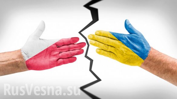 «Польша обязана извиниться!» — украинский чиновник, которого не пустили в страну, в ярости (ВИДЕО)