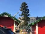 Пользователи соцсети принялись высмеивать главную елку Киева