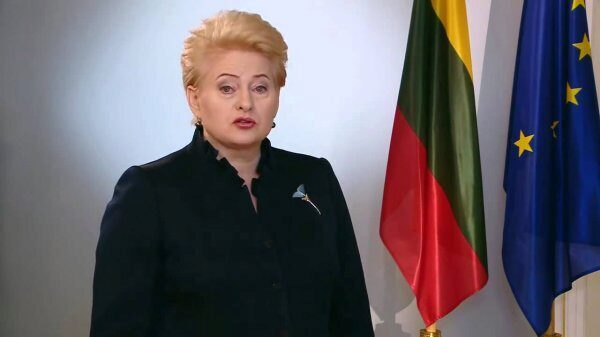 Президент Литвы выразила готовность сотрудничать с Россией