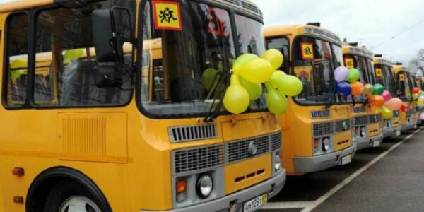 Школьные автобусы в России оснастят мигалками