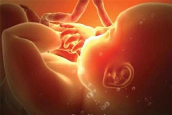 Сотрудники ФБР нашли у бизнесмена человеческие эмбрионы