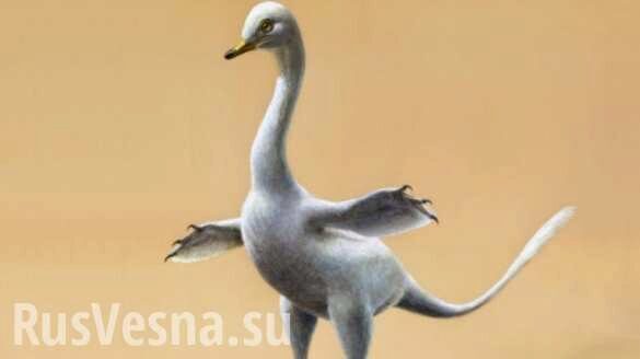 Ученые обнаружили в Монголии останки «уткодинозавра»