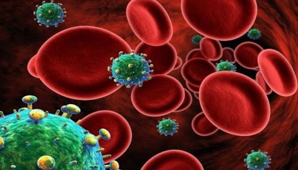 Ученые: ВИЧ попал в организм человека через кровь съеденной обезьяны