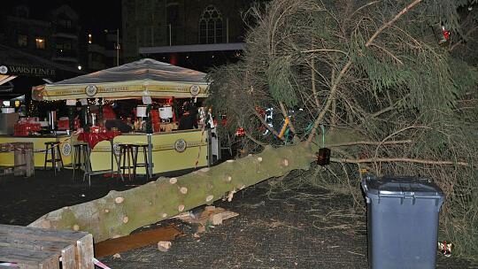 В Германии упала рождественская елка (ФОТО)