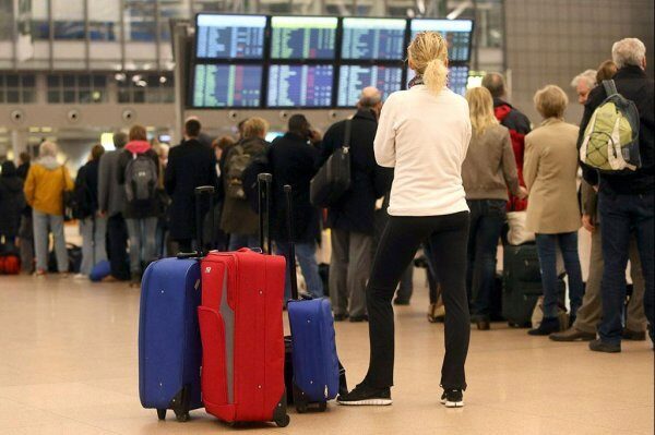 В киевском аэропорту задержан рейс из-за «лишнего» кота у пассажира