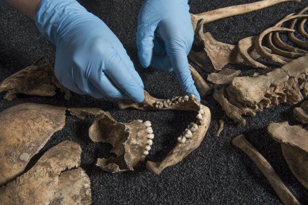 В Крыму археологи нашли захоронение обезглавленных